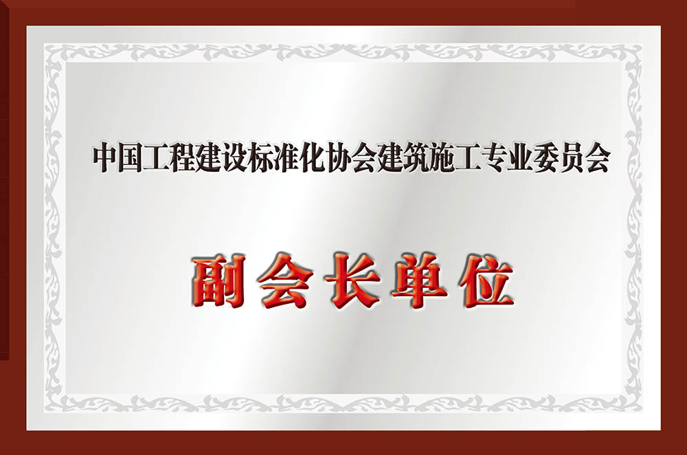 建筑施工专业委员会副会长单位